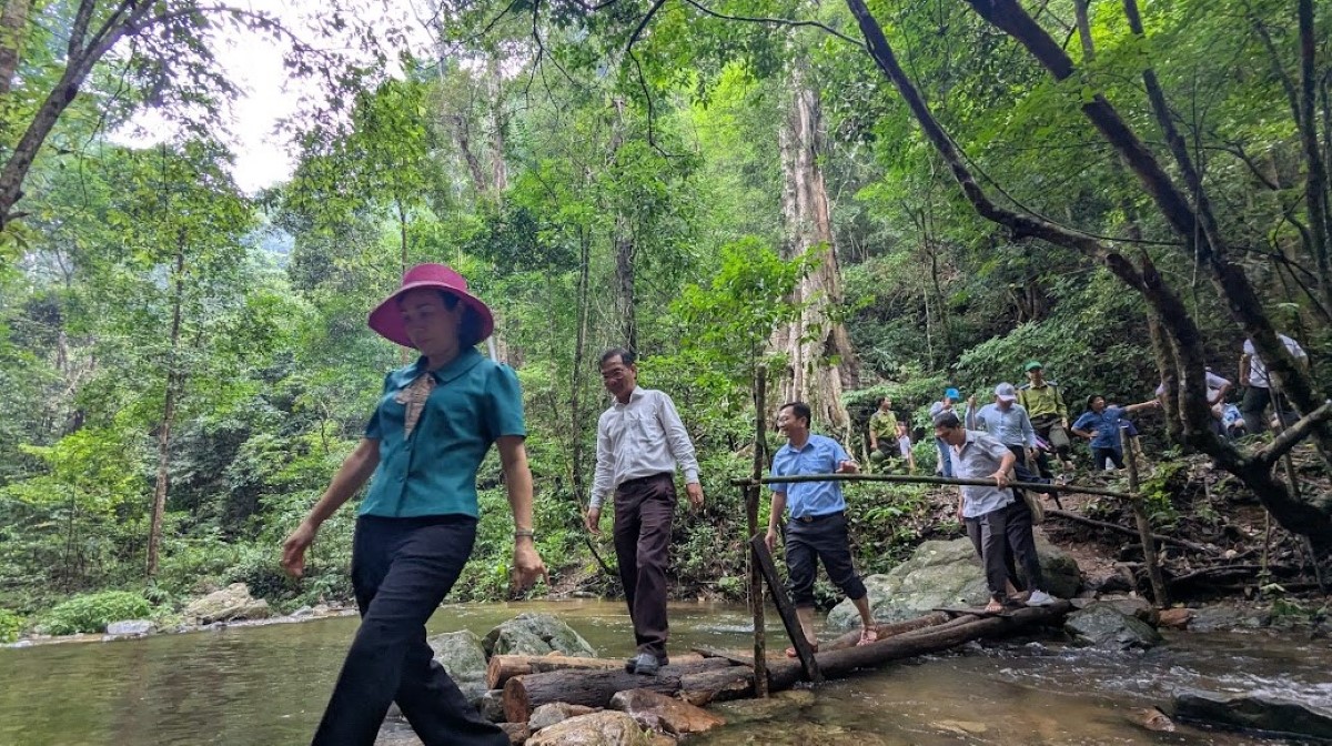 ເຂດ​ນິ​ເວດ ກອນ​​ກ່າ​ກິງ - ແກ້ວ​ມະ​ນີ​ອັນ​ປະ​ເສີດ​ໃນ​ທ່າມ​ກາງ​ເຂດ ເຕິຍງວຽນ